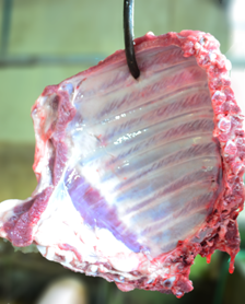 daging babi papua supplier